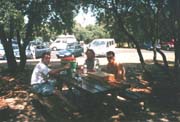 Cinghio, Sapa & Gallo