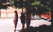 Tox, Pildis e Vito